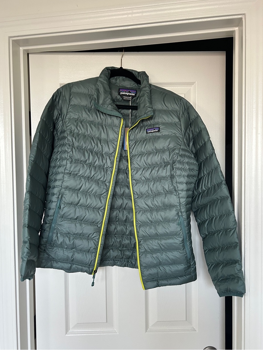 BRAND NEW Patagonia Down Sweater Jacket (L, Regen Green)